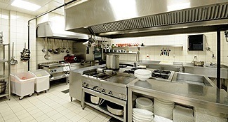 Commercial pest control for kitchens and restaurants