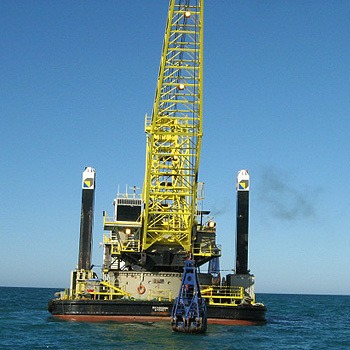 Oil and Gas pest Control services