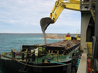 Pest Control services on a mining project in WA