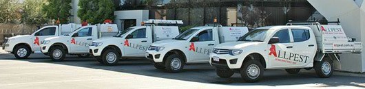 Allpest fleet in Freemantle, WA