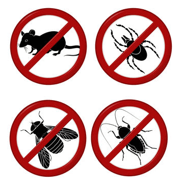 Build your Pest Package