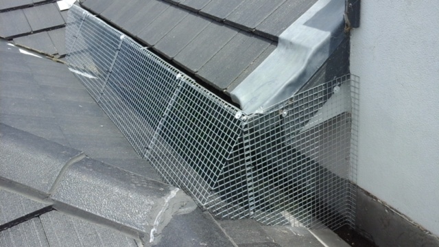bird-proofing-1 bird-proofing-1