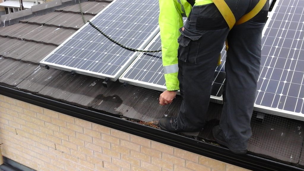 bird-proofing-1024x576 bird-proofing-1024x576