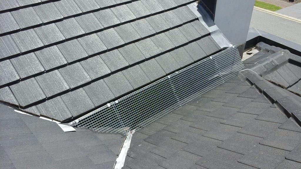 bird-proofing-2-1024x576 bird-proofing-2-1024x576