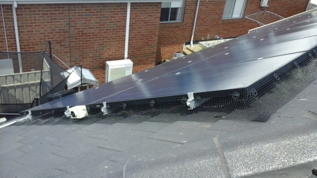 bird-proofing-solar-panel bird-proofing-solar-panel